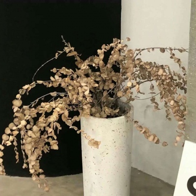 Furry插画素材合集福瑞群